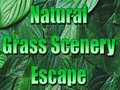 Jogo Natural Grass Scenery Escape