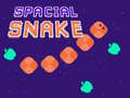 Jogo Spacial Snake