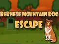 Jogo Bernese Mountain Dog Escape