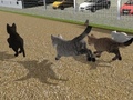 Jogo Run Cat Cat Race