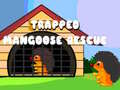 Jogo Trapped Mangoose Rescue