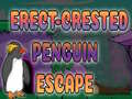 Jogo Erect Crested Penguin Escape