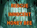 Jogo Rescue Innocent Honey Bee 