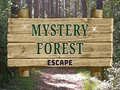 Jogo Mystery Forest