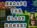 Jogo Escape The Black Monkey