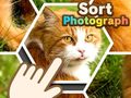 Jogo Sort Photograph