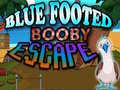 Jogo Blue Footed Booby Escape