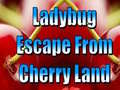 Jogo Ladybug Escape From Cherry Land