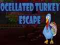 Jogo Ocellated Turkey Escape