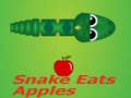 Jogo Snake Eats Apple