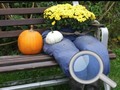 Jogo Autumn Garden Find 100 butterflies
