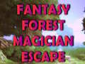 Jogo Fantasy Forest Magician Escape