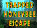 Jogo Trapped Honeybee Escape