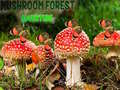 Jogo Mushroom Forest Adventure