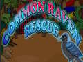Jogo Common Raven Rescue