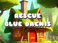 Jogo Rescue Blue Dacnis