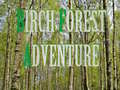 Jogo Birch Forest Adventure