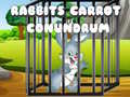 Jogo Rabbits Carrot Conundrum