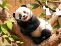 Jogo Jigsaw Puzzle: Panda On Tree