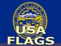 Jogo Usa Flags 