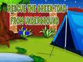 Jogo Rescue The Green Toad From Underground
