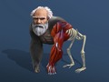 Jogo Idle Evolution From Cell To Human