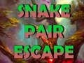 Jogo Snake Pair Escape