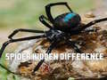 Jogo Spider Hidden Difference