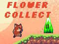 Jogo Flower Collect