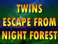 Jogo Twins Escape From Night Forest