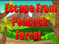 Jogo Escape From Peacock Forest