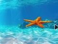 Jogo Escape From Underwater Starfish