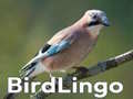 Jogo BirdLingo