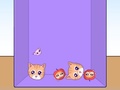 Jogo Evolution of Cat Memes