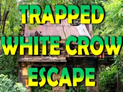 Jogo Trapped White Crow Escape