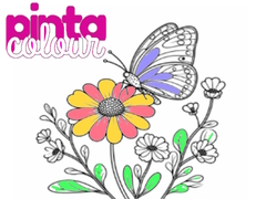 Jogo Pinta Colour