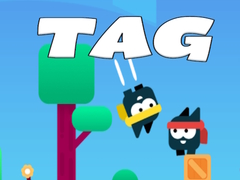 Jogo Tag