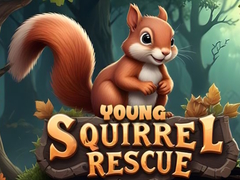 Jogo Young Squirrel Rescue