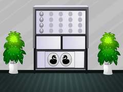 Jogo White House Escape