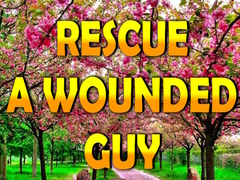 Jogo Rescue A Wounded Guy