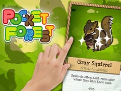 Jogo Pocket Forest