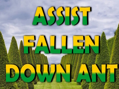 Jogo  Assist Fallen Down Ant