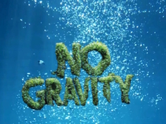 Jogo No Gravity