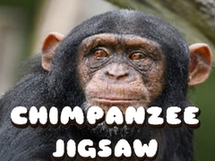Jogo Chimpanzee Jigsaw
