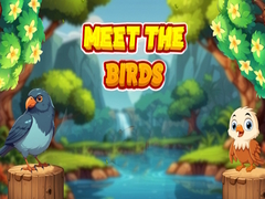 Jogo Meet The Birds 