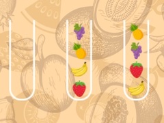 Jogo Fruit Sort Master