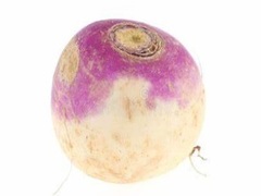 Jogo Turnip