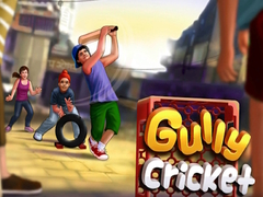 Jogo Gully Cricket