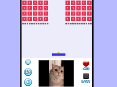 Jogo Spinning Oia Oia Cat Bricker
