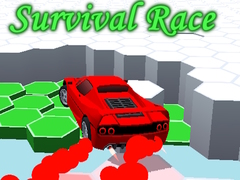 Jogo Survival Race